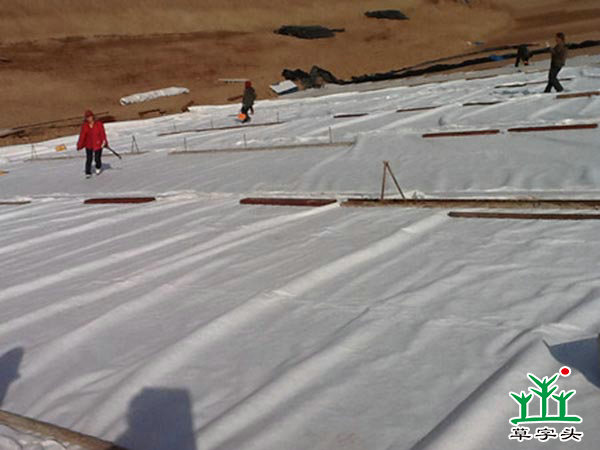 土工布，土工膜，復(fù)合土工膜