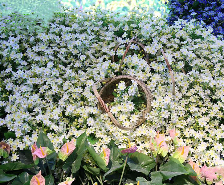 湖南草字頭生態(tài)環(huán)境建設有限公司,人造草坪假草皮,湖南雨水收集處理工藝 湖南草字頭生態(tài)環(huán)境建設有限公司,人造草坪假草皮,湖南雨水收集處理工藝