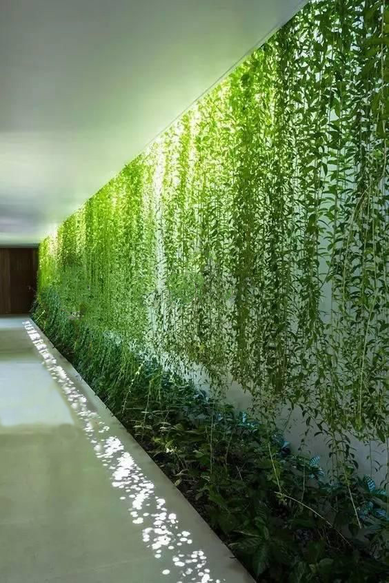 湖南草字頭生態(tài)環(huán)境建設(shè)有限公司,人造草坪假草皮,湖南雨水收集處理工藝 湖南草字頭生態(tài)環(huán)境建設(shè)有限公司,人造草坪假草皮,湖南雨水收集處理工藝