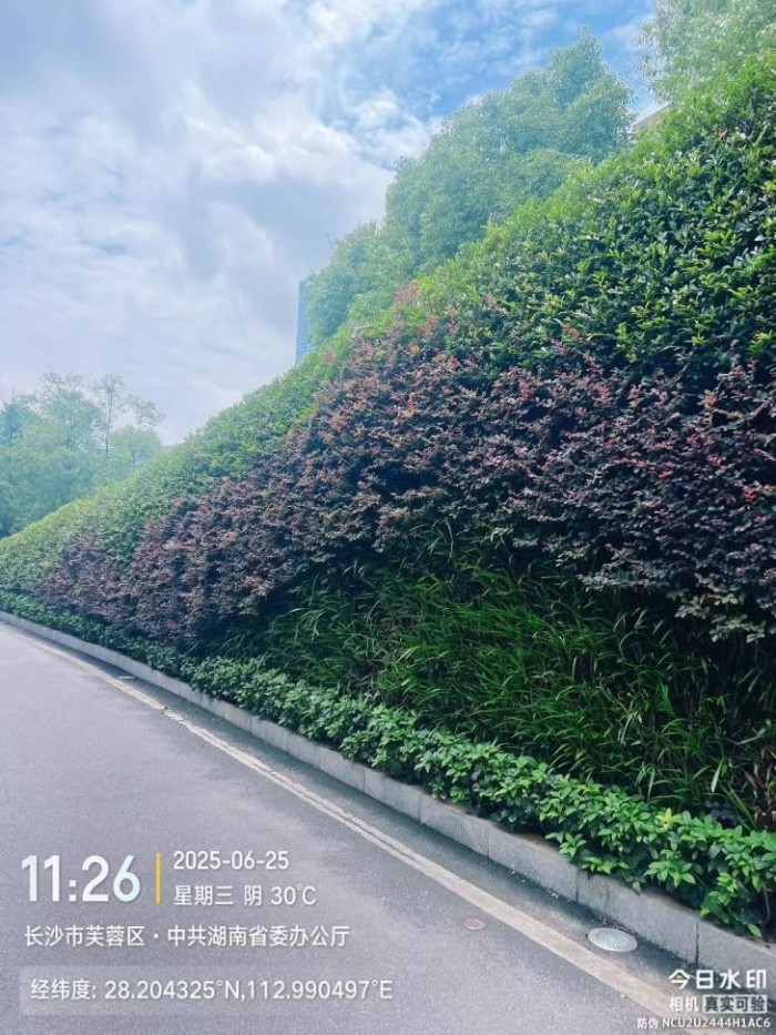 湖南草字頭生態(tài)環(huán)境建設(shè)有限公司,人造草坪假草皮,湖南雨水收集處理工藝